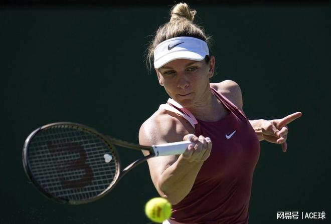 企业的共同 企业的共同