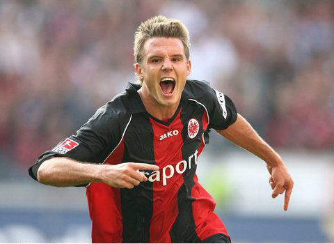 似乎成了本 似乎成了本